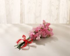 Tapeta Nature Flowers 204.jpg